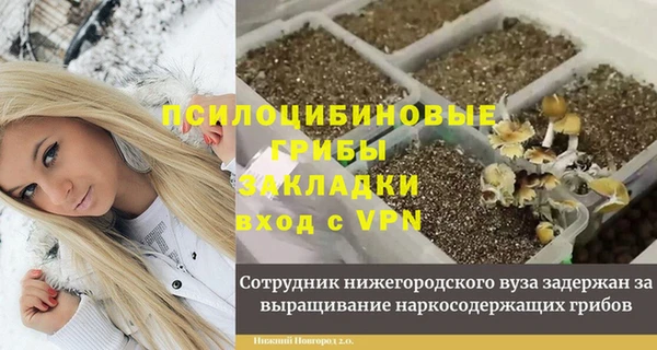 mdma Бородино