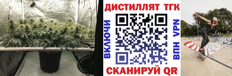 закладка  Междуреченск  Дистиллят ТГК жижа 