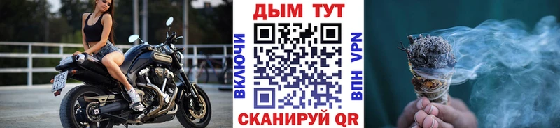 где можно купить Междуреченск Конопля сатива